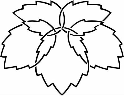 陰変わり利休鬼蔦