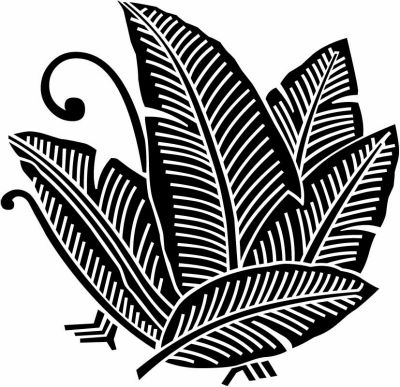 芭蕉蝶・揚羽芭蕉蝶