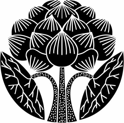 立ち蓮・立ち蓮の花・葉付き立ち蓮の花