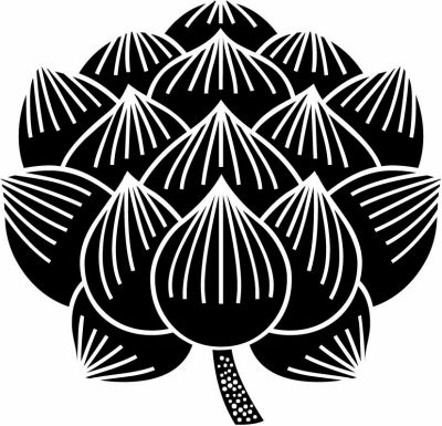 蓮の花・一つ蓮の花