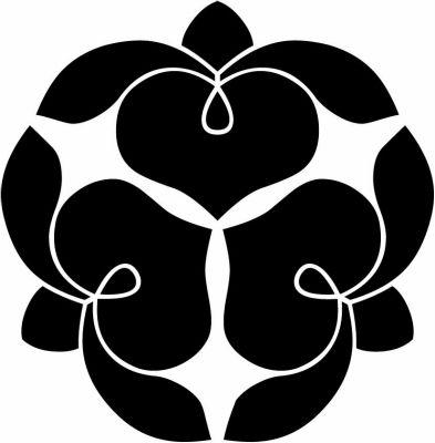 三つ寄せ藤の花