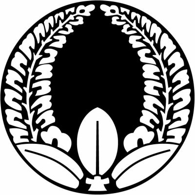 石持ち地抜き安藤藤（２）