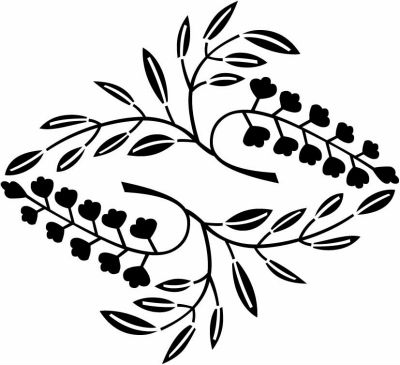 対い枝藤菱（１）