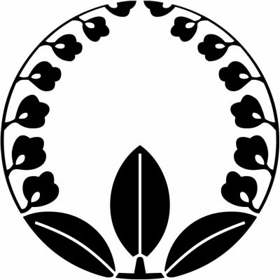 斑入り割り上がり藤