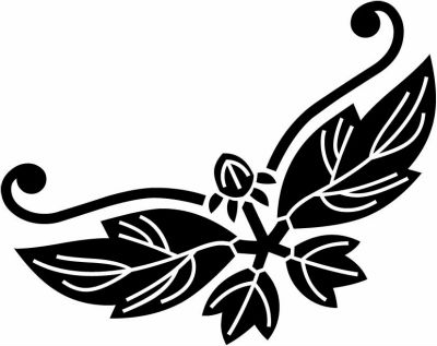 牡丹胡蝶（２）