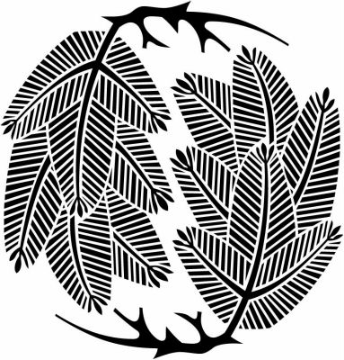 二つ追い根付き若松