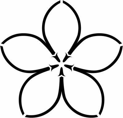 松葉桔梗（１）