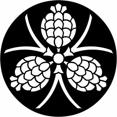 石持ち地抜き三つ葉松笠