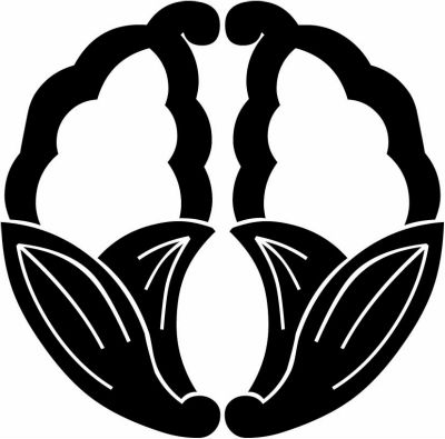 変わり抱き茗荷