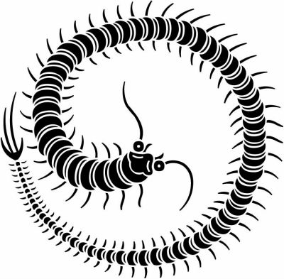 右向き百足の丸・右百足の丸