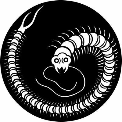 石持ち地抜き百足の丸（１）