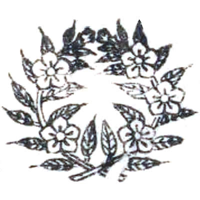 違い枝桔梗・土岐抱き桔梗