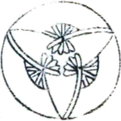 三つ開き中啓の丸・三つ反り扇