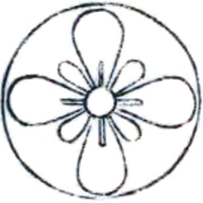 永井梨の切り口・永井唐梨（永井柰）・丸に梨の切り口