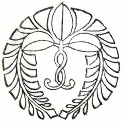 蔓下がり藤・下がり蔓藤