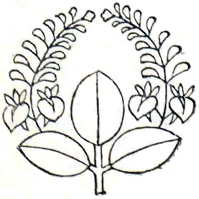 上がり藤（３）