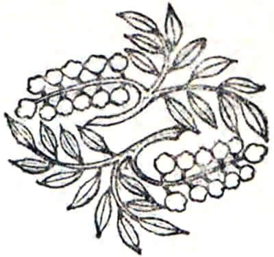 枝藤菱・対い枝藤菱（２）