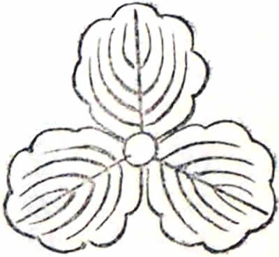 三つ柏 [牧野柏]