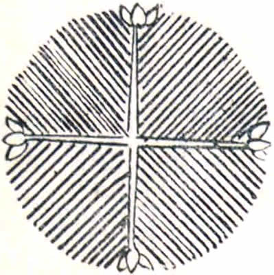 四つ若松（２）