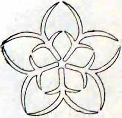 松葉桔梗（３）