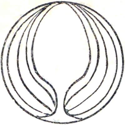 二つ梛の葉（２）