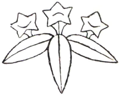 三つ葉竜胆（２）