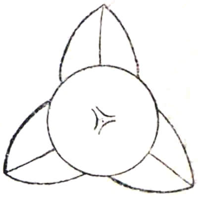 向こう橘（陰向こう橘（２））