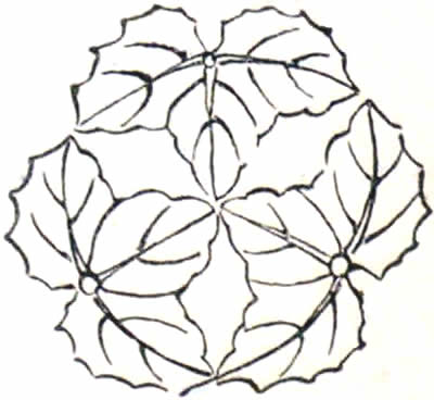 尻合わせ三つ蔦