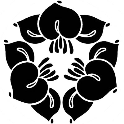 頭合わせ三つ花杜若・頭合わせ三つ杜若の花