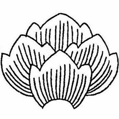 竜の鱗／龍の鱗