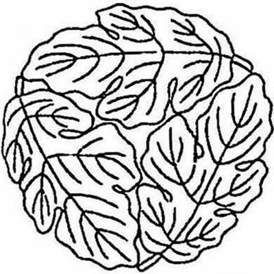 追い掛け梶の葉