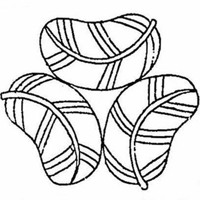 鷹の羽酢漿／鷹の羽片喰