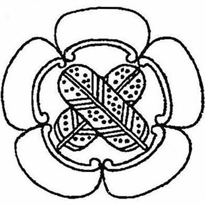 瓜の内に違い鷹の羽