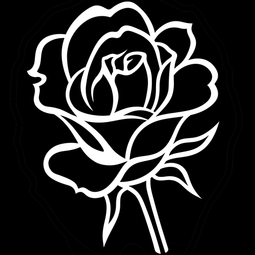 地抜き一本薔薇