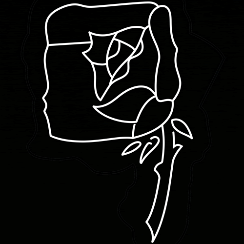 地抜き枝薔薇