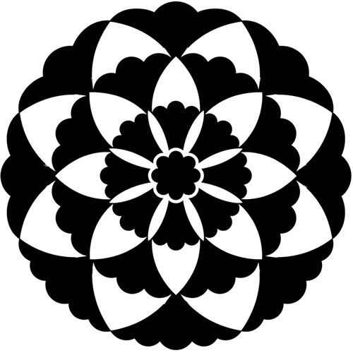 変わり八つ割り寓生の花（２）