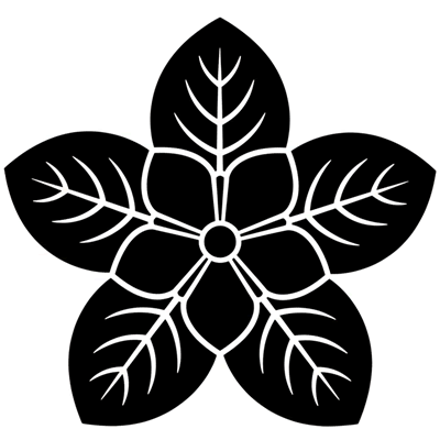 花なし虎杖の葉