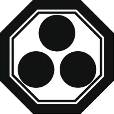 子持ち隅切り角に三つ星