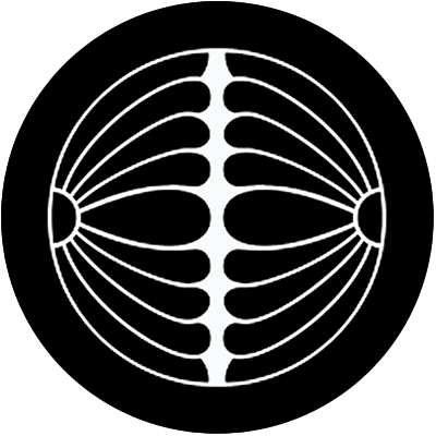 丸に割り菊（２）