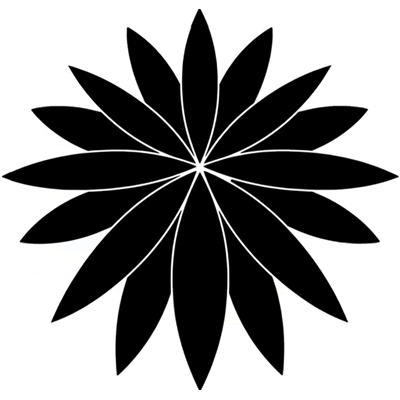 向こうかぶろ菊