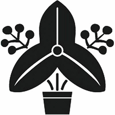 鉢付き立ち沢瀉