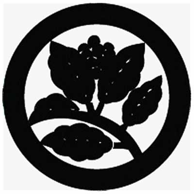 丸に実付き枝青木