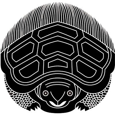 真向き亀（３）