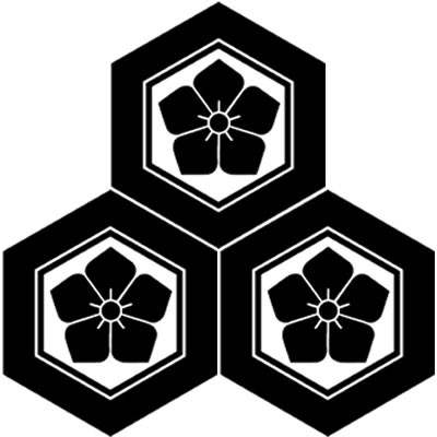 三つ盛り亀甲に桔梗