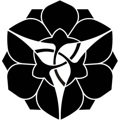 軸長三つ横見桔梗