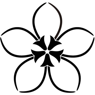 松葉桔梗（２）