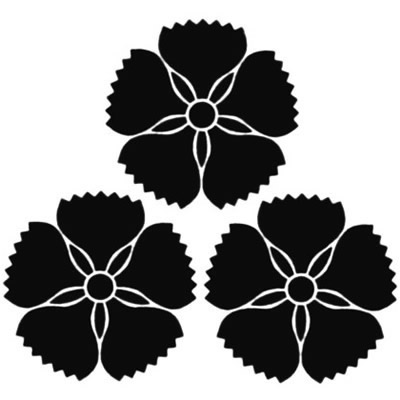 三つ盛り撫子（２）