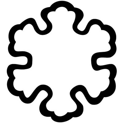 中陰梨の切り口