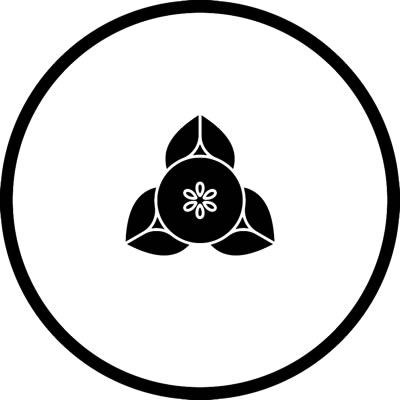 糸輪に豆向こう橘