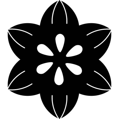 花鉄仙／花鉄線（３）